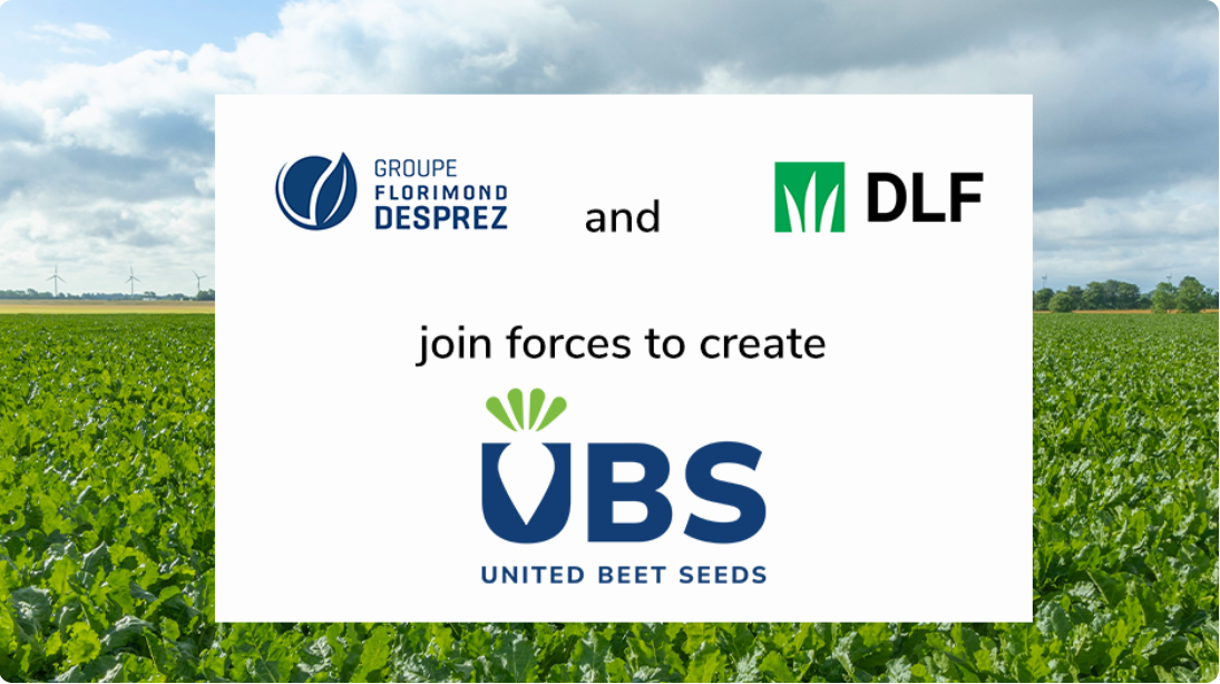 DLF Seeds A/S et le Groupe Florimond Desprez s'associent pour créer United Beet Seeds