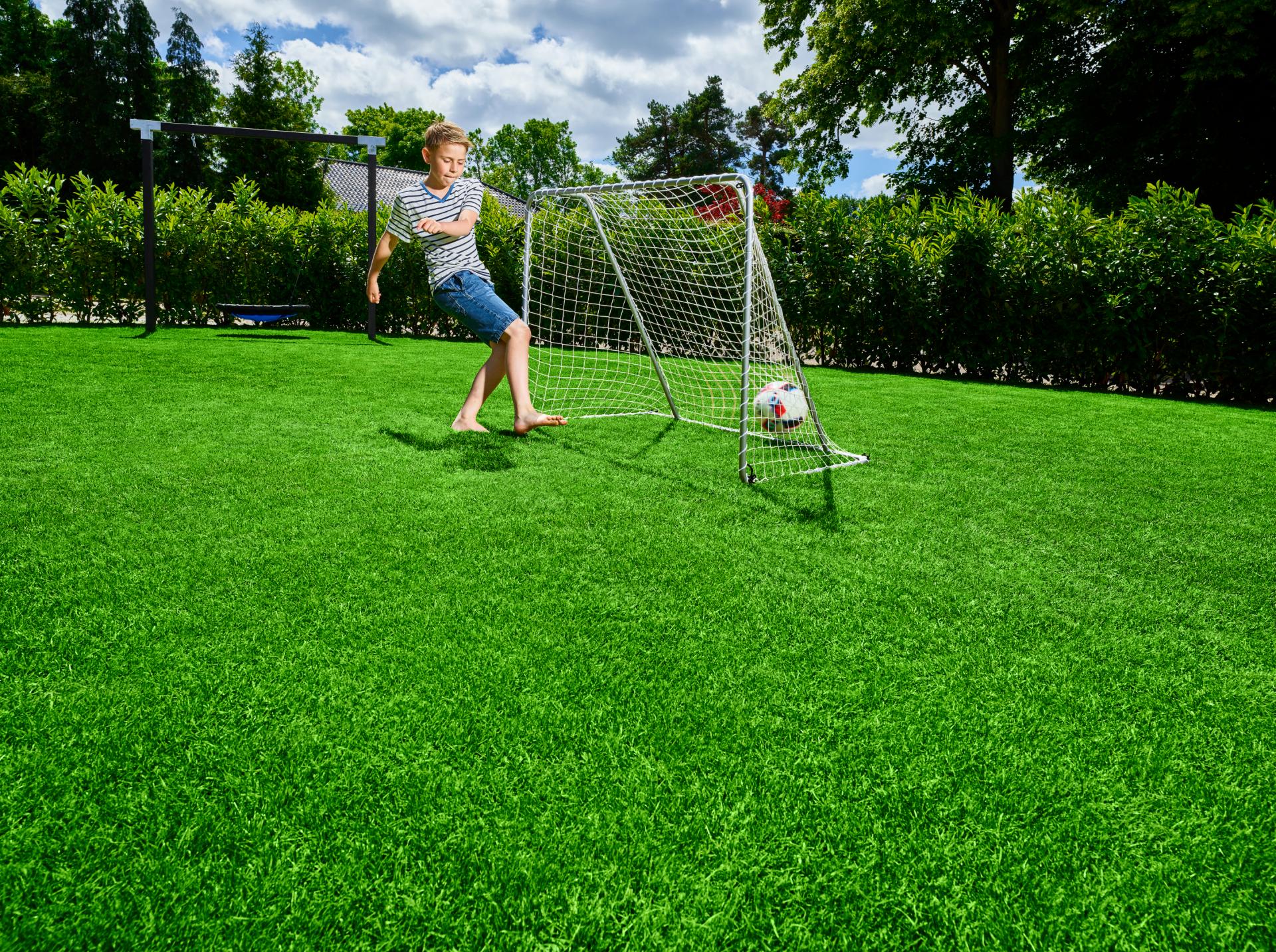 LA FÉTUQUE ROUGE POURRAIT ÊTRE L'AVENIR DE LA GESTION DES PELOUSES