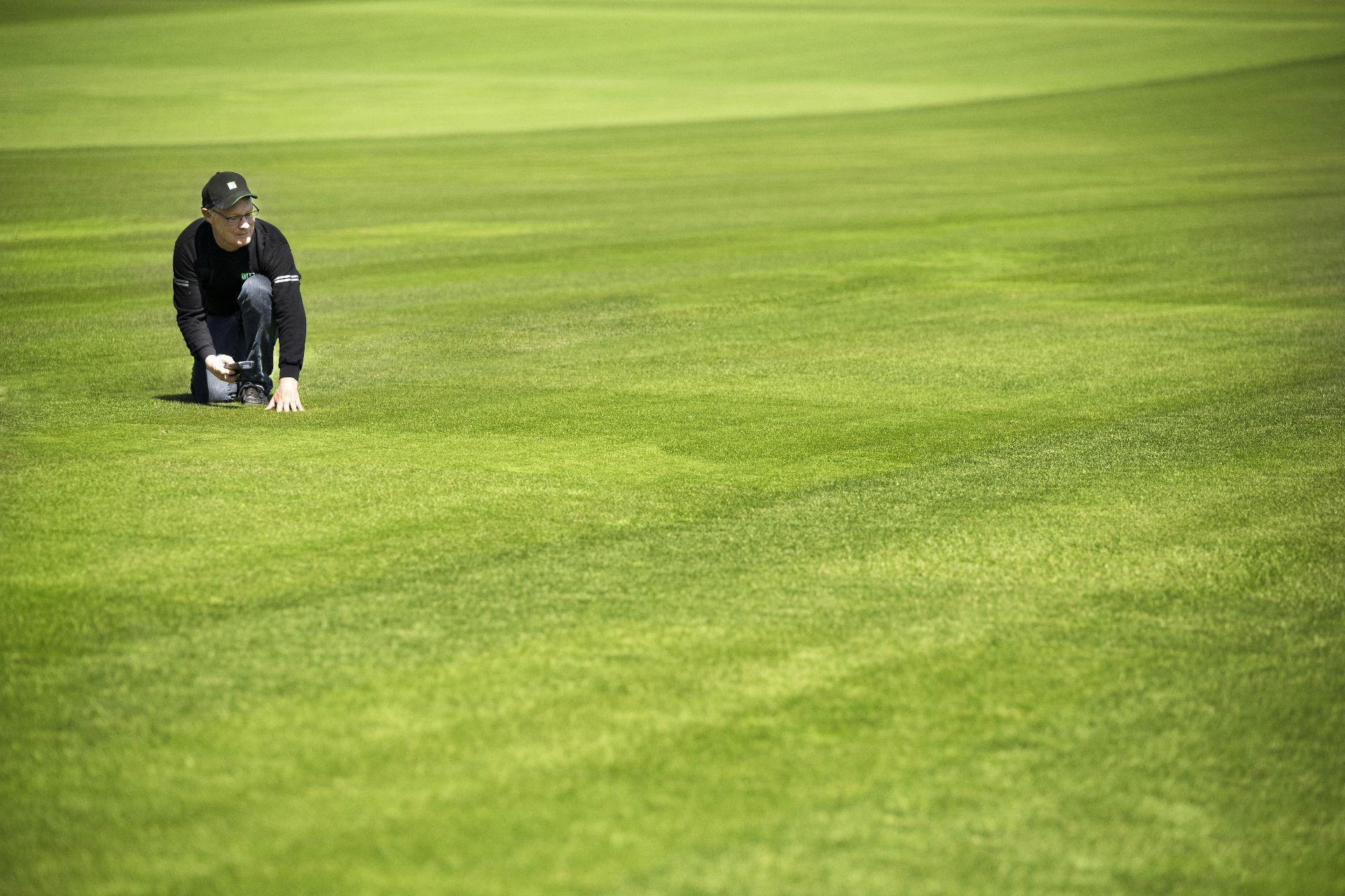 LA PROCHAINE VARIÉTÉ DE GAZON N°1 EST UNE IDÉE DE GÉNIE QUI N'ARRIVE QU'UNE FOIS SUR 5 000