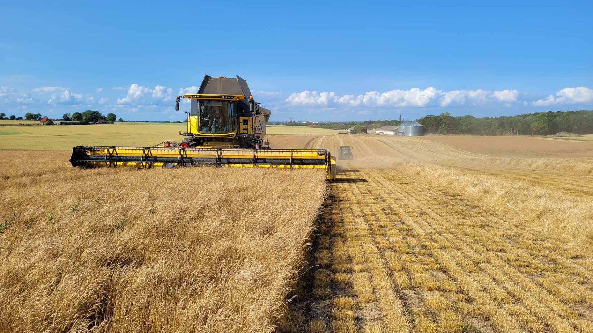 Un marché des semences de graminées plus équilibré exige une planification avancée