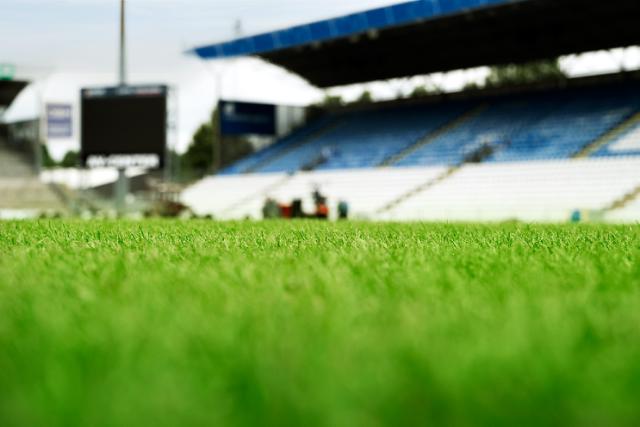 Beau gazon vert terrain de sport