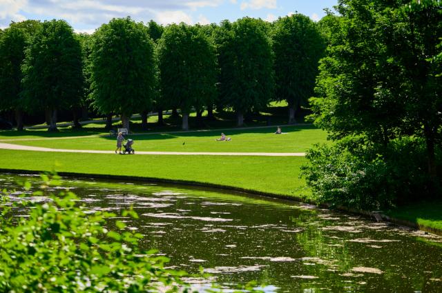 Gazon parc espace vert