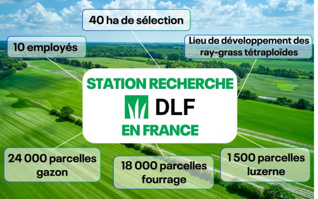 chiffres DLF recherche France