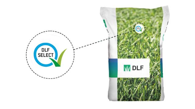 Logo DLF select sur sac