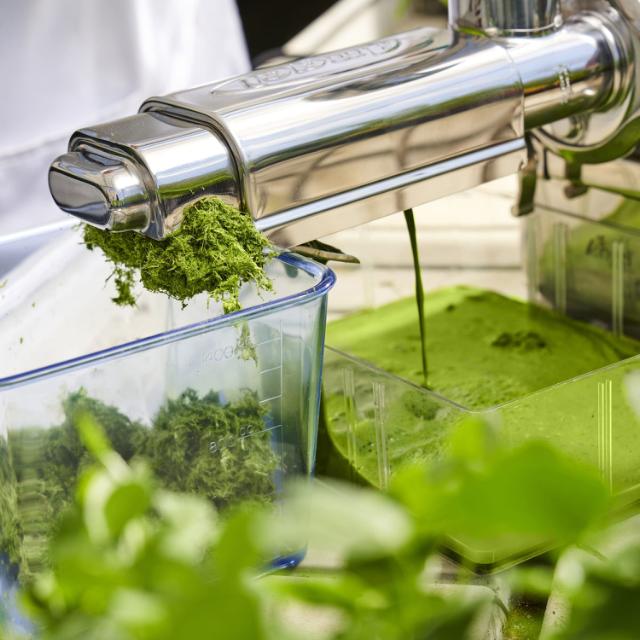 Production de protéines de graminées pour une agriculture plus durable