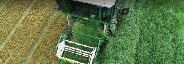 culture d'herbe avec moissonneuse