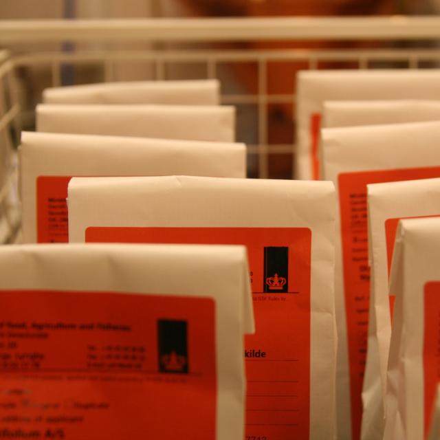 Échantillons de semences de gazon scellés et étiquetés, prêts à être testés.