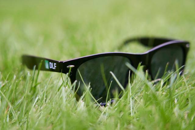 Beau gazon vert lunettes