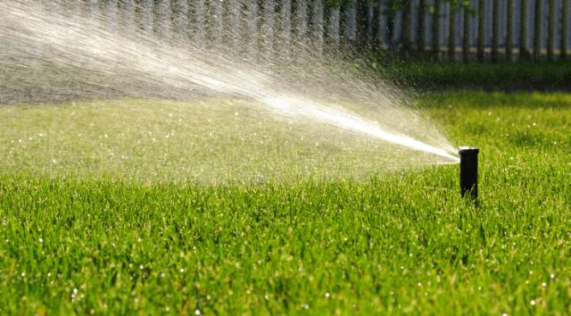 Arrosage gazon