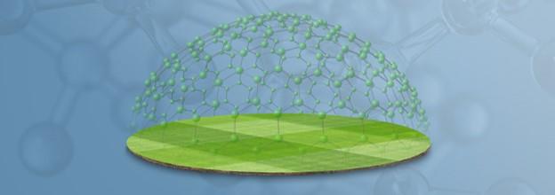 infection fil rouge gazon