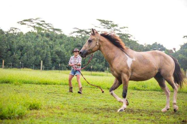 photo terrain de football avec gazon
